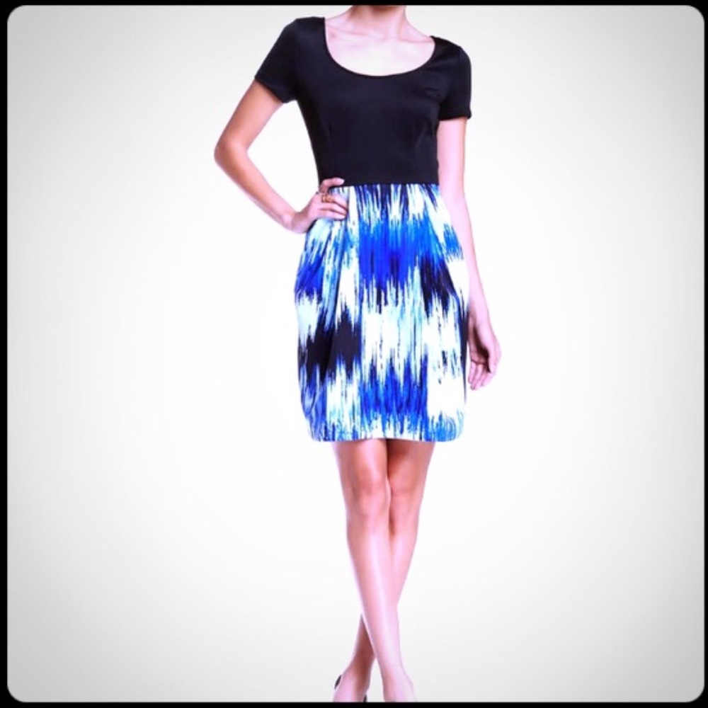NWT Betsy Johnson SS Printed Skirt Scuba Dress